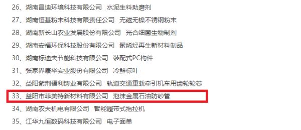 益阳市菲美特新材料有限公司,菲美特新材料,益阳多孔泡沫金属材料,泡沫镍生产,益阳泡沫铜